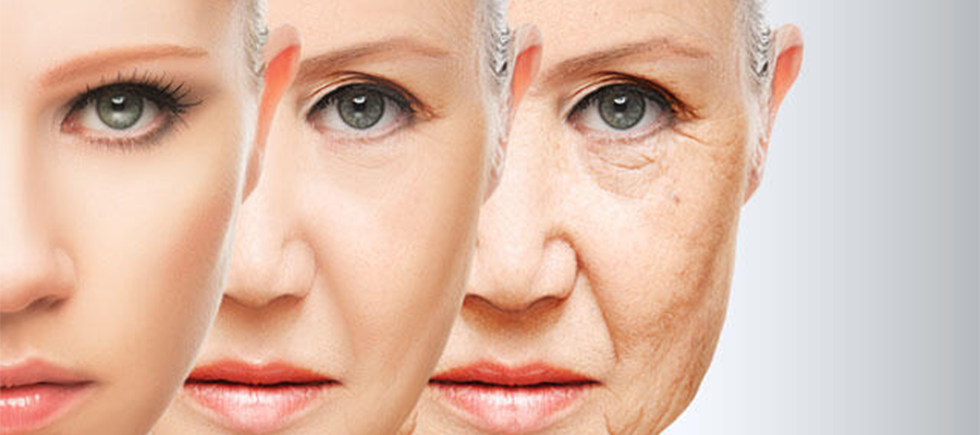 Skin Booster (Youth Injection)