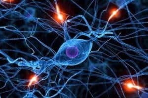 Stem Cell Therapy